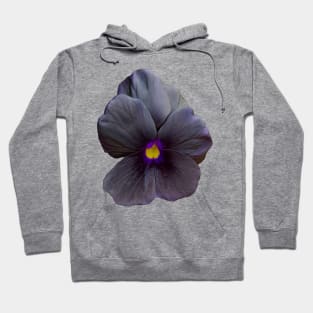 Black Viola Flower Photo Hoodie